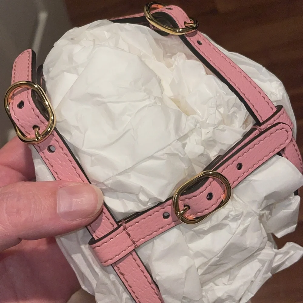 New Gucci dog leash/harness